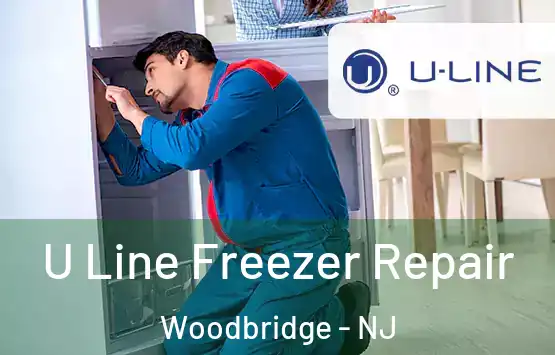  U Line Freezer Repair Woodbridge - NJ