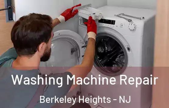  Washing Machine Repair Berkeley Heights - NJ