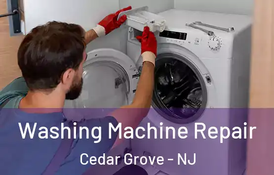  Washing Machine Repair Cedar Grove - NJ