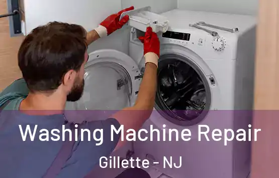  Washing Machine Repair Gillette - NJ
