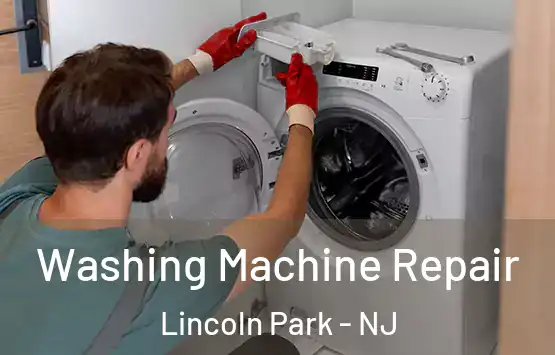  Washing Machine Repair Lincoln Park - NJ