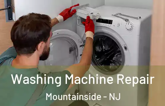  Washing Machine Repair Mountainside - NJ