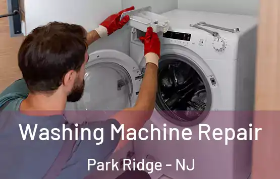  Washing Machine Repair Park Ridge - NJ