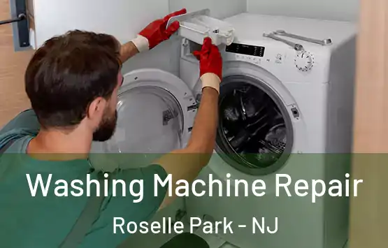  Washing Machine Repair Roselle Park - NJ