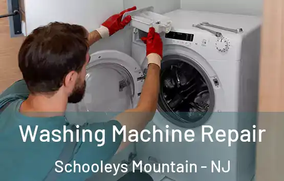  Washing Machine Repair Schooleys Mountain - NJ
