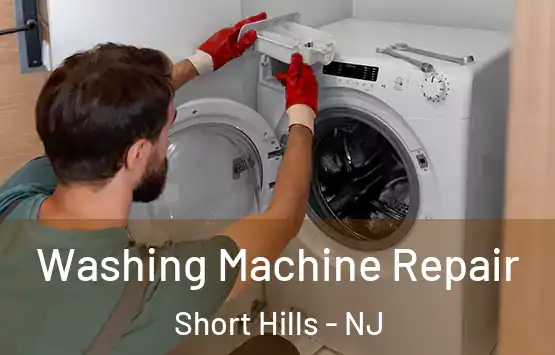  Washing Machine Repair Short Hills - NJ
