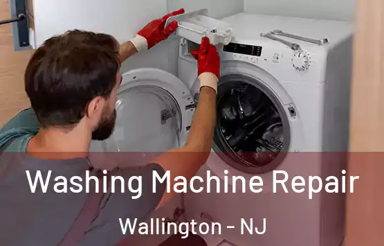  Washing Machine Repair Wallington - NJ