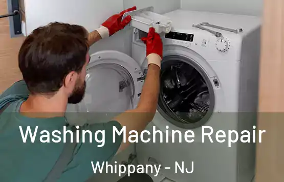  Washing Machine Repair Whippany - NJ