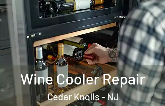  Wine Cooler Repair Cedar Knolls - NJ