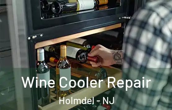 Wine Cooler Repair Holmdel - NJ