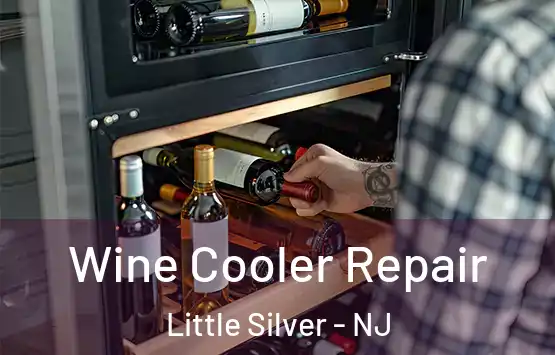  Wine Cooler Repair Little Silver - NJ