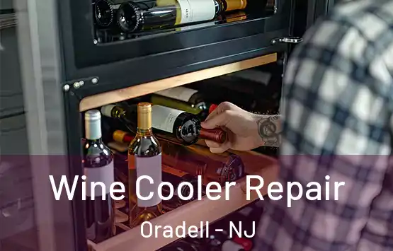  Wine Cooler Repair Oradell - NJ