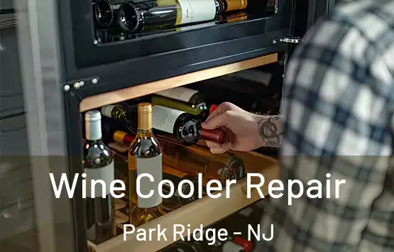  Wine Cooler Repair Park Ridge - NJ