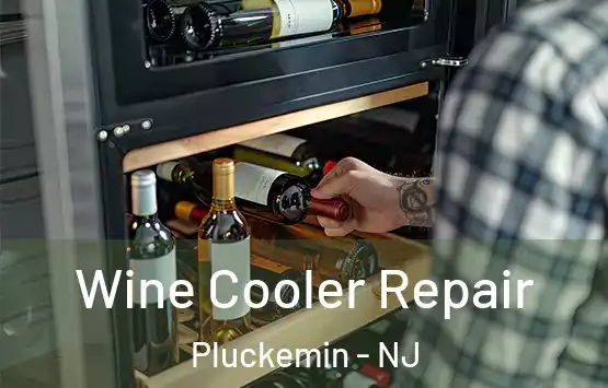  Wine Cooler Repair Pluckemin - NJ