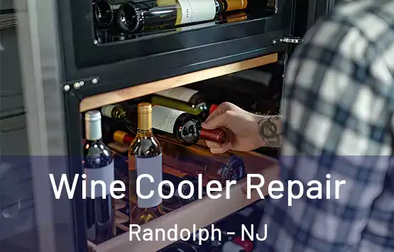  Wine Cooler Repair Randolph - NJ