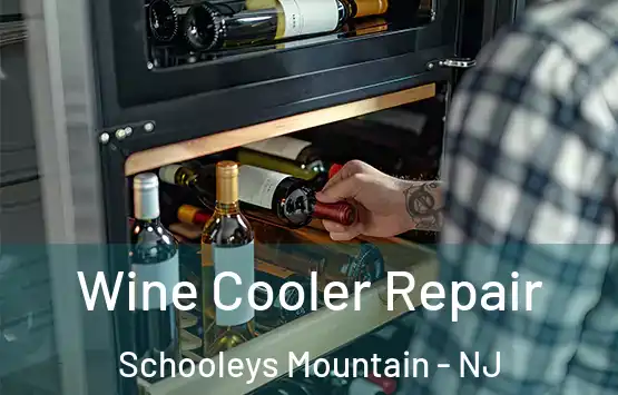  Wine Cooler Repair Schooleys Mountain - NJ