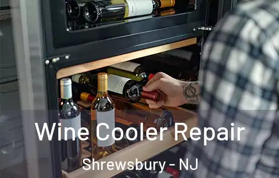  Wine Cooler Repair Shrewsbury - NJ